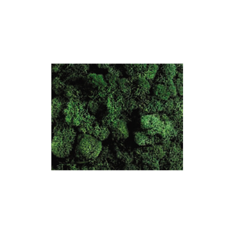 LICHEN VERT FONCE 50G 2315069