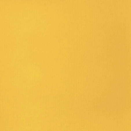 LIQUITEX BASICS ACRYL 118ML 163 TON JNE CAD FC