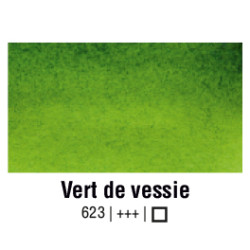 VAN GOGH AQUARELLE VERT DE VESSIE 1/2 GODET