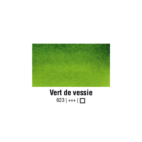 VAN GOGH AQUARELLE VERT DE VESSIE 1/2 GODET