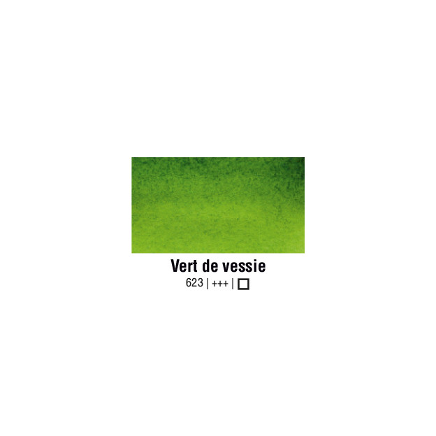 VAN GOGH AQUARELLE VERT DE VESSIE 1/2 GODET