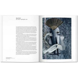 Cette <STRONG>monographie</STRONG> d'art écrite par <STRONG>Dietmar Elger</STRONG> réunit les œuvres les plus remarquables du mo