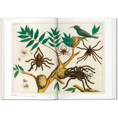 <STRONG>Le Cabinet des curiosités naturelles d’Albertus Seba</STRONG> est un trésor de l’histoire des sciences naturelles, qui m