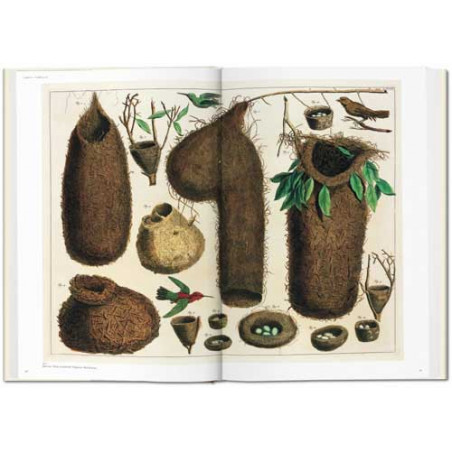 <STRONG>Le Cabinet des curiosités naturelles d’Albertus Seba</STRONG> est un trésor de l’histoire des sciences naturelles, qui m