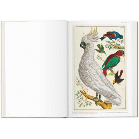 <STRONG>Le Cabinet des curiosités naturelles d’Albertus Seba</STRONG> est un trésor de l’histoire des sciences naturelles, qui m