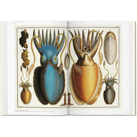 <STRONG>Le Cabinet des curiosités naturelles d’Albertus Seba</STRONG> est un trésor de l’histoire des sciences naturelles, qui m