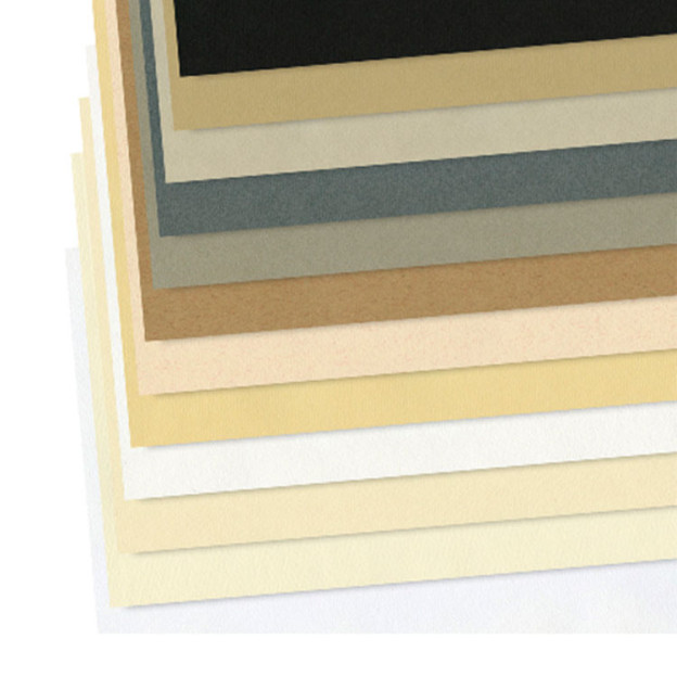 Bloc Papier Ingres Daler Rowney 24 Feuilles - 40.6x30.5cm - 6 Couleurs Pastel - 160g/m²