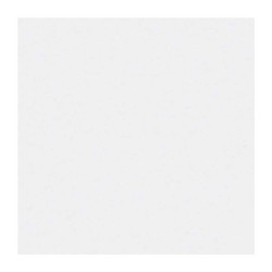 PASTELMAT PAPIER 360G 50X65CM 10 BLANC 1F
