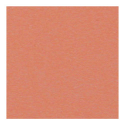 PASTELMAT PAPIER 360G 50X65CM 12 SIENNE 1F