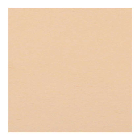 PASTELMAT PAPIER 360G 50X65CM 21 MAÏS 1F