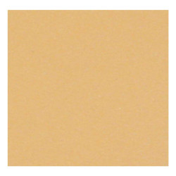 PASTELMAT PAPIER 360G 50X65CM 22 BOUTON D'OR 1F