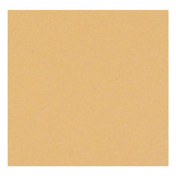 PASTELMAT PAPIER 360G 50X65CM 22 BOUTON D'OR 1F