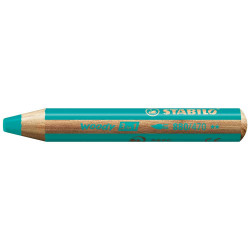 Ce <STRONG>taille-crayon</STRONG> a spécialement été conçu pour tailler les <STRONG>crayons STABILO woody</STRONG>.