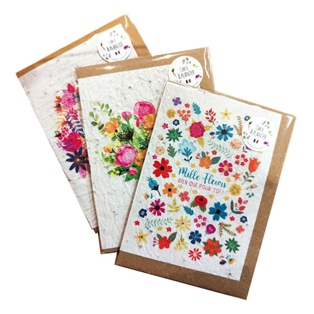 Sélection de <STRONG>cartes à planter</STRONG> originales et colorées, pour tous les petits et grands moments de la vie.