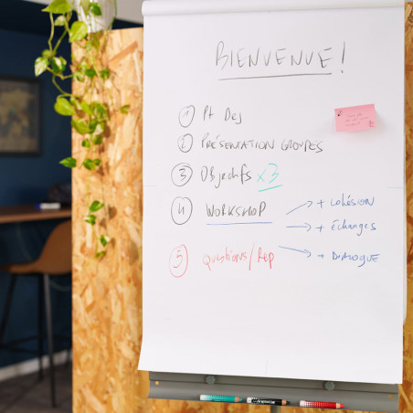 Découvrez le <STRONG>crayon STABILO MARKdry</STRONG>, un <STRONG>crayon marqueur en bois</STRONG> et écologique parfait pour les