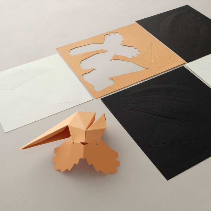 Découvrez la maquette origami Upupa Epops de la marque Plego, une maquette représentant une huppe fasciée à plier et à assembler