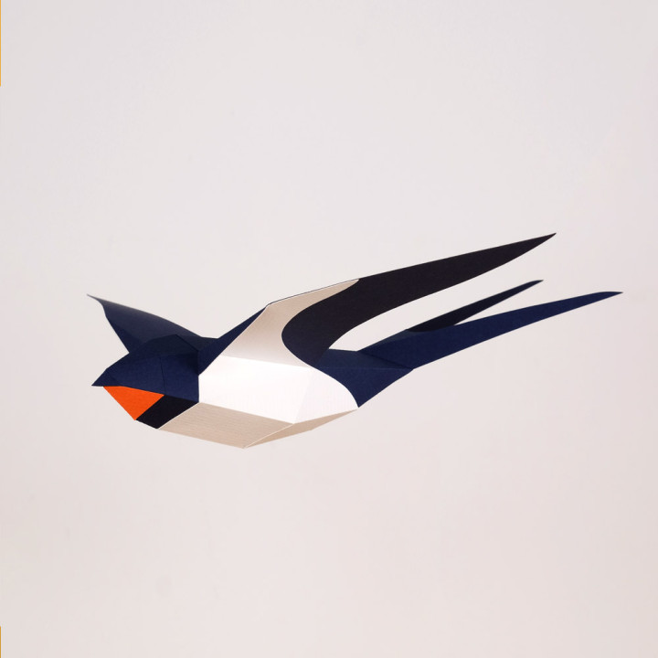 Découvrez la maquette origami Hirondelle Rustique (Hirundo Rustica) de la marque Plego, une maquette en papier pâte coloré à pli