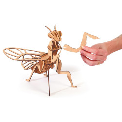 Découvrez la maquette 3D en bois Mante Religieuse de la marque Graine Créative, une maquette à assembler à partir de 27 pièces. 
